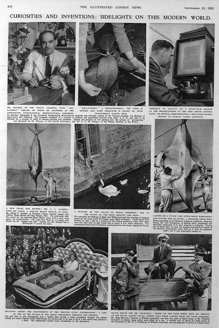 curiousities and inventions